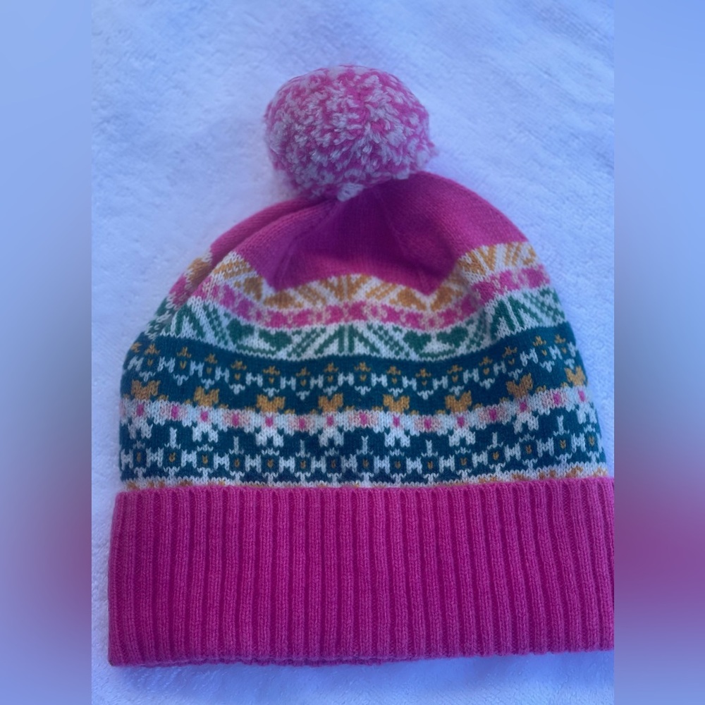 NWT J Crew Beanie
